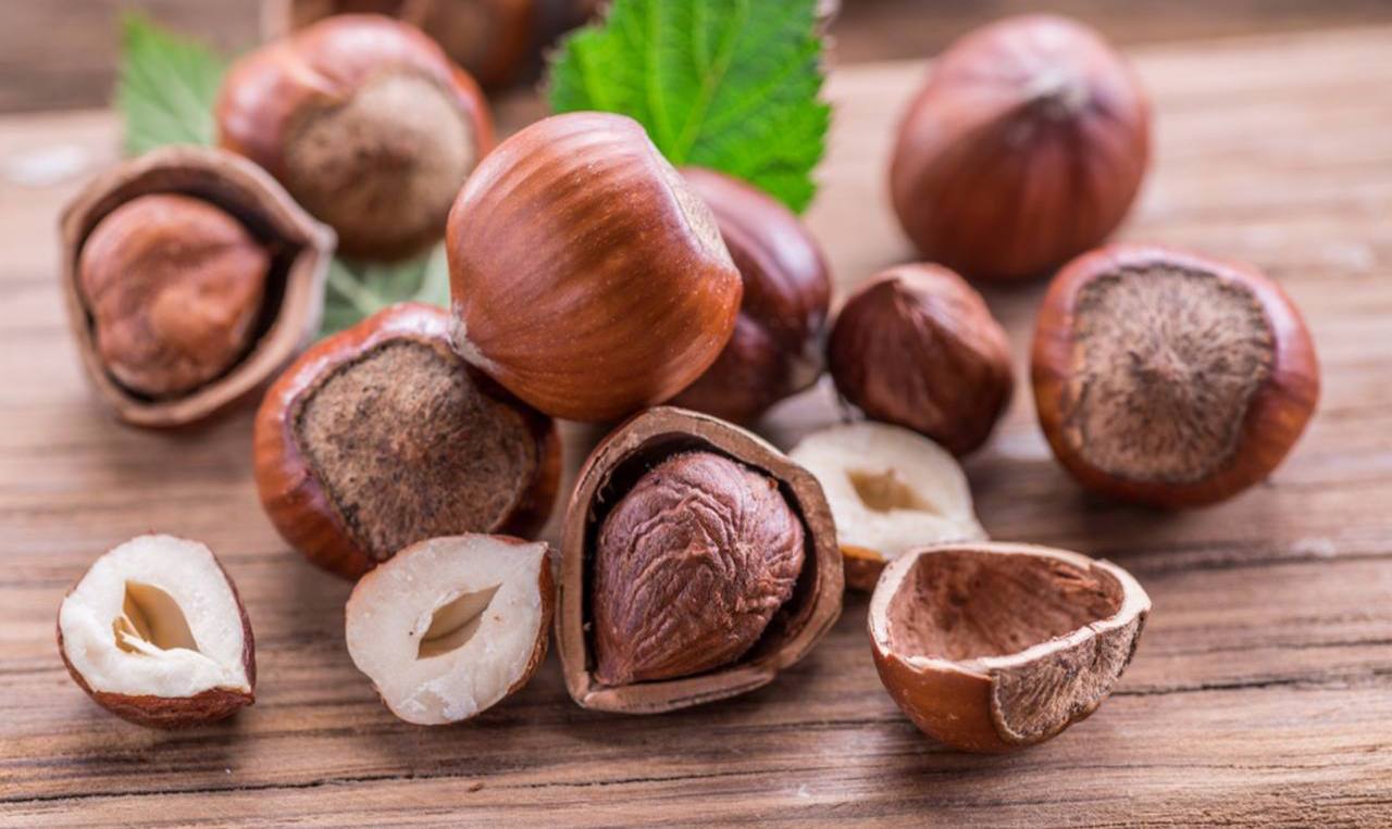 Benefícios da avelã.